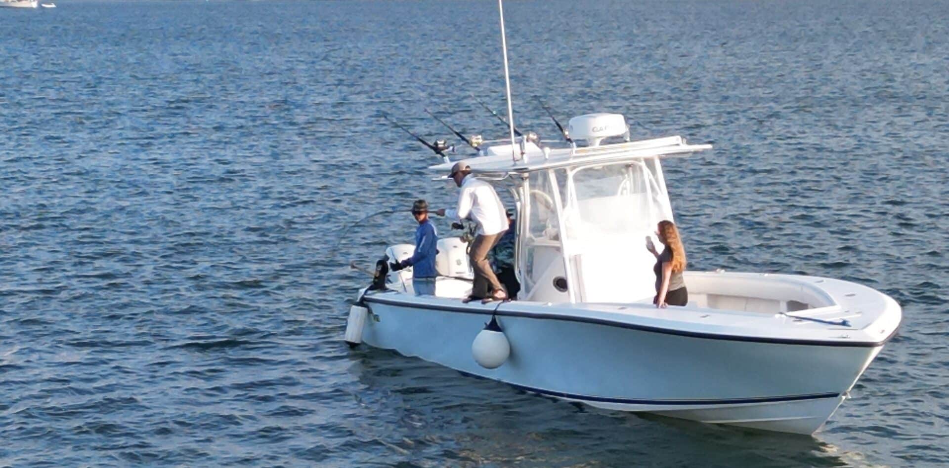 Tarpon! - Fish Cayman Islands