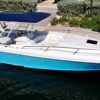 Knotty Grand Cayman Charters