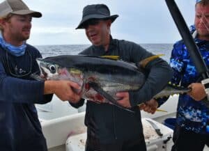 Grand Cayman Fishing Charter