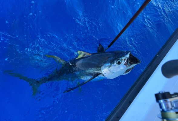 Grand Cayman fishing Charter