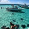 Stingray City Grand Cayman