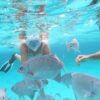 Cayman Snorkel