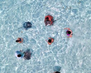 Stingray City Cayman