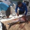 Grand Cayman fishing Charters