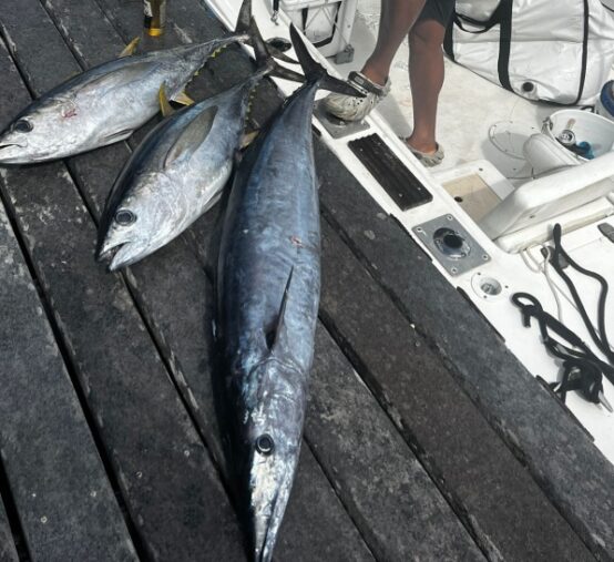 Grand Cayman Fishing Report - Fish Cayman Islands