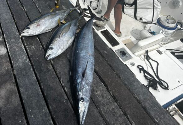 Grand Cayman Fishing Report