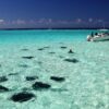 Top Cayman Islands Fishing Charter Captains